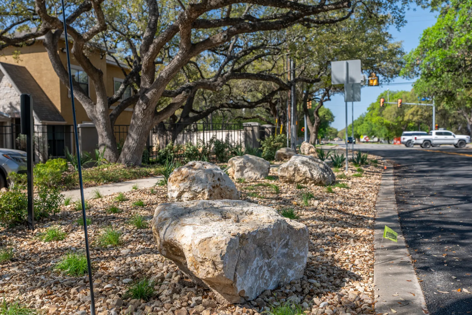 Limestone boulders and planting beneath the oak canopy.